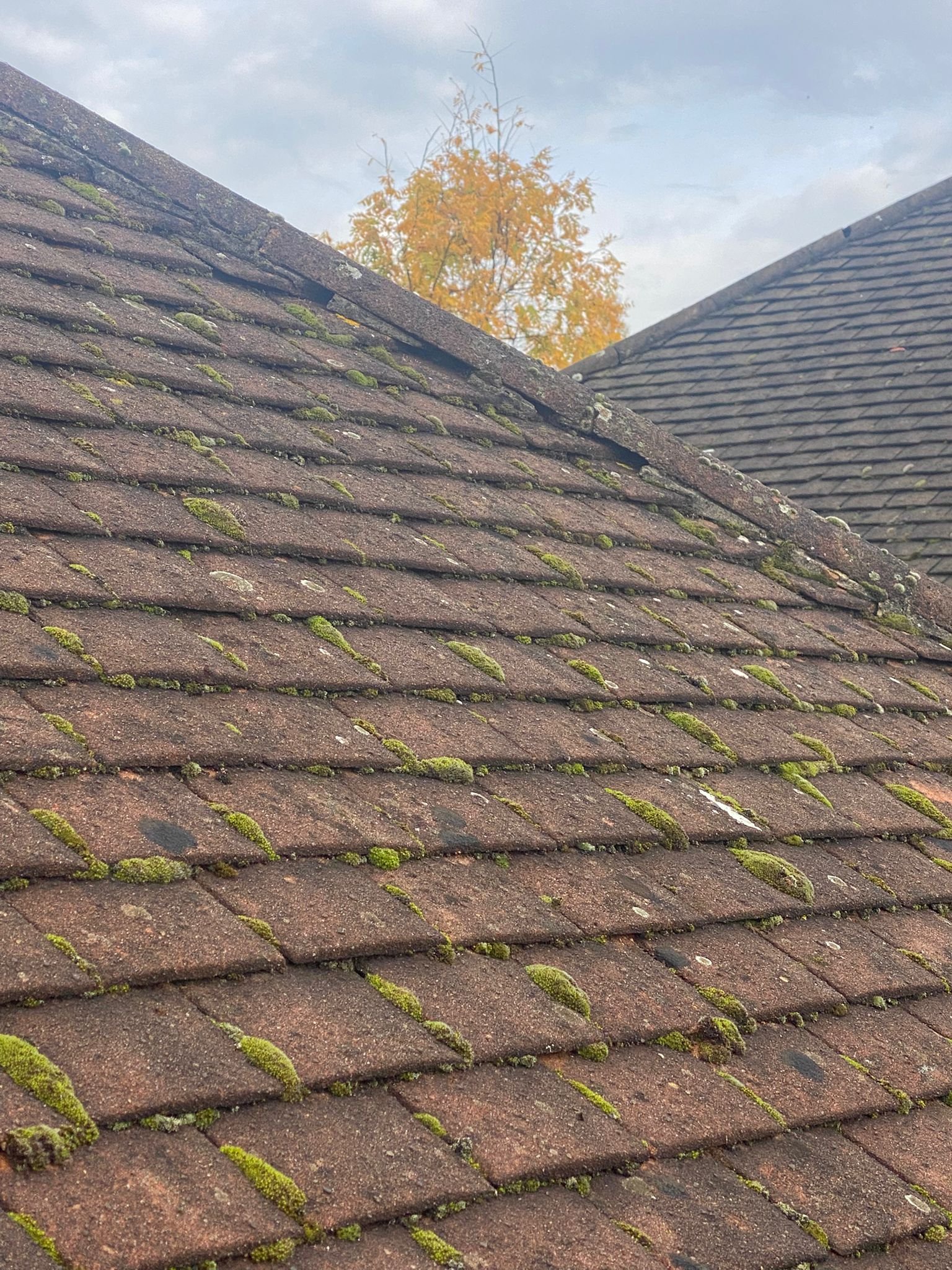 New roof installation by experienced Devonshire roofers New roof installation by experienced Devonshire roofers