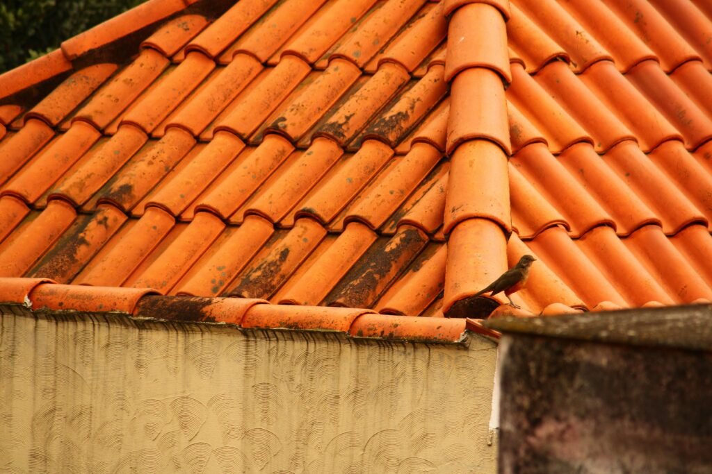 Professional roof inspection and repair service
